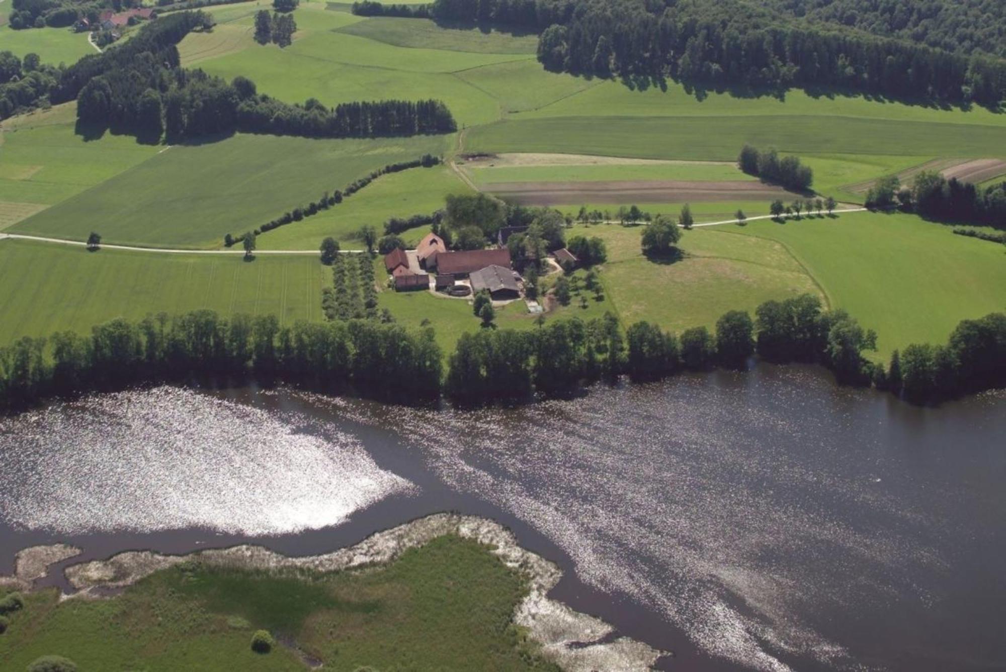 Roesslerhof Ferienwohnung Roesslerweiher Schlier Buitenkant foto